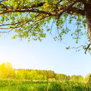 Have a good summer wallpaper