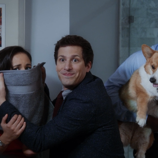 Brooklyn 99 PC wallpaper