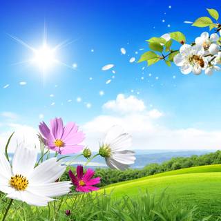 Spring scenes wallpaper