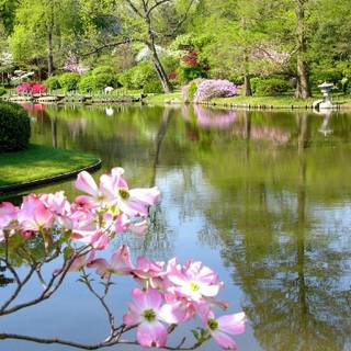 Spring scenes wallpaper