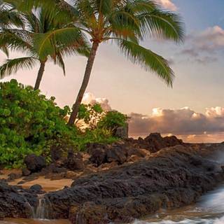 Summer Samsung wallpaper