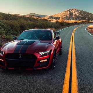 Shelby GT 500 4k wallpaper