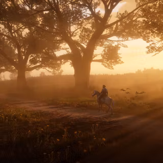 Red Dead Redemption 2 PC 4k wallpaper