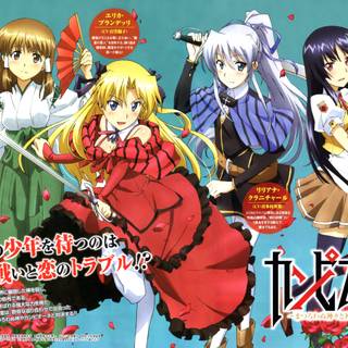 Liliana Kranjčar wallpaper