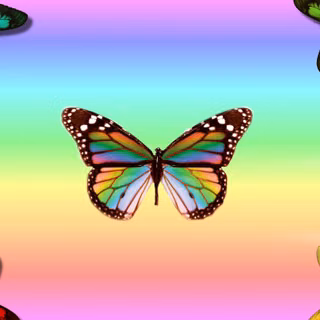 Animation butterfly wallpaper