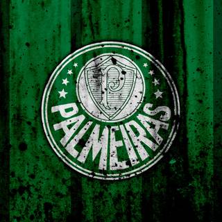 Palmeiras 4K wallpaper