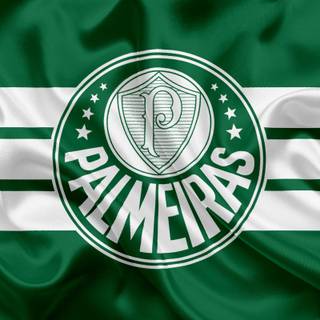 Palmeiras 4K wallpaper