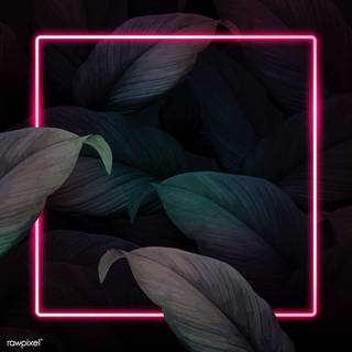 Neon square wallpaper
