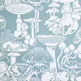 Mushroom aesthetic wallpaper