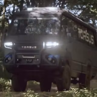 Torsus Praetorian wallpaper