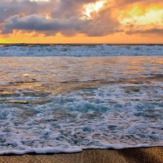 Summer 2021 wallpaper