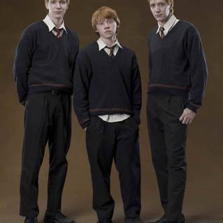 The Weasley Family wallpaper