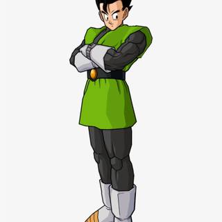 Great Saiyaman Saga wallpaper