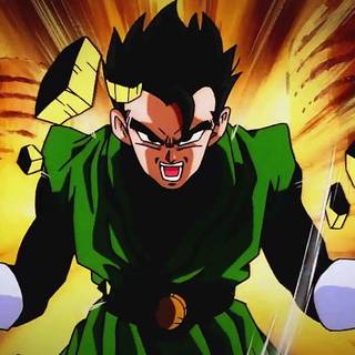 Great Saiyaman Saga wallpaper