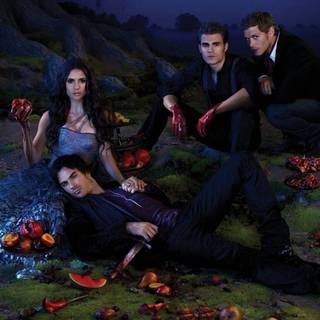 Vampire Diaries computer wallpaper