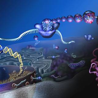 Biology 4k wallpaper