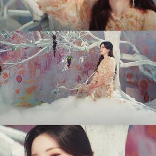 Kura Kura Twice wallpaper