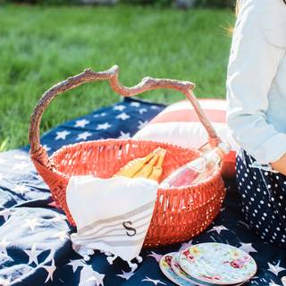 4th of July picnic wallpaper
