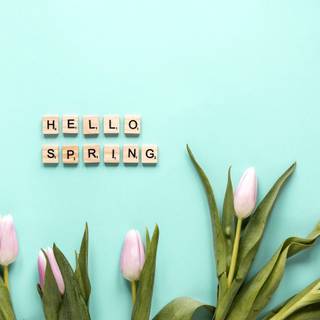 Basic hello spring wallpaper