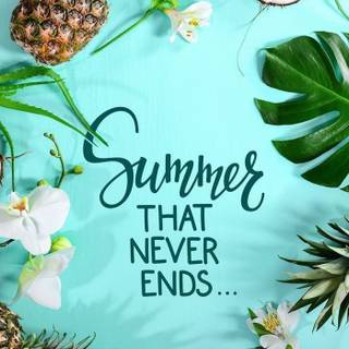 Coconout summer wallpaper