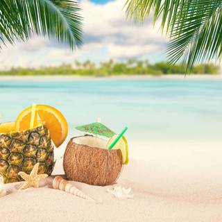 Coconout summer wallpaper