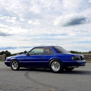 Fox Body wallpaper