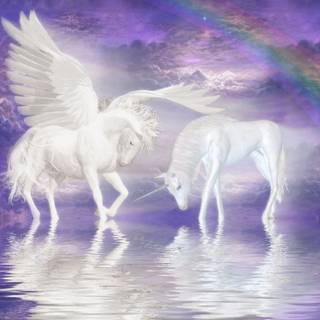 Unicorn horse wallpaper