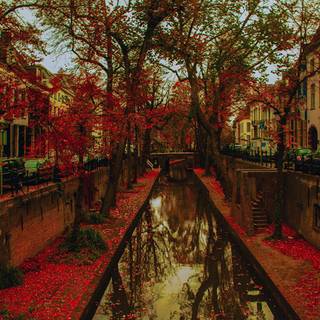 Autumn street PC wallpaper