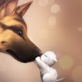 Anime animal Kawaii wallpaper