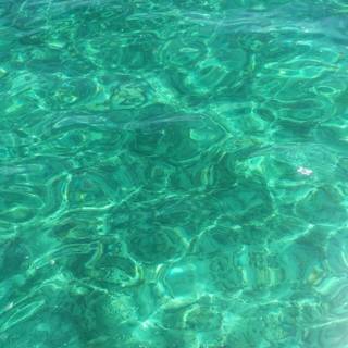 Aesthetic sea green wallpaper