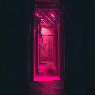 Dark pink 4k wallpaper