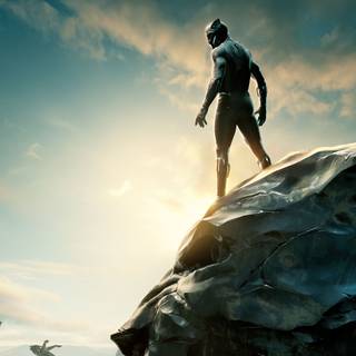 Black Panther 4k PC wallpaper