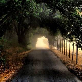 Black road wallpaper