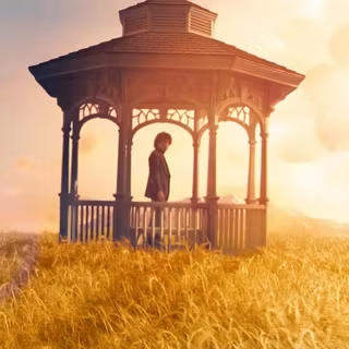 The Lovely Bones wallpaper