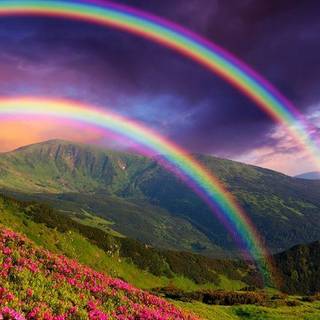 Rainbow summer wallpaper