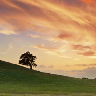 iPhone Ireland summer wallpaper