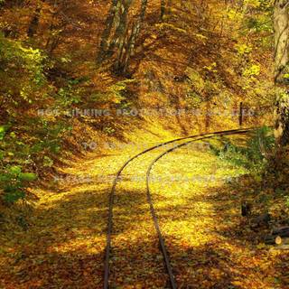 Autumn train track wallpaper