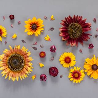 Digital summer wallpaper