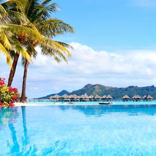 Summer trips wallpaper