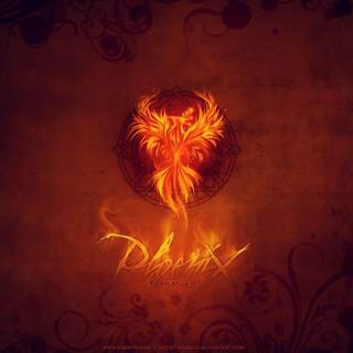Phoenix logo wallpaper