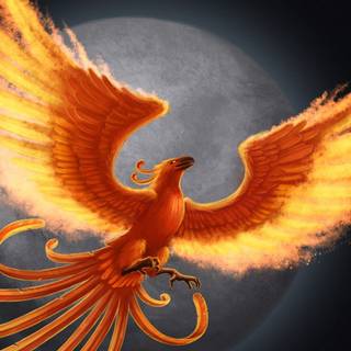 Phoenix logo wallpaper
