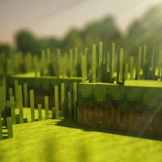 Minecraft summer wallpaper