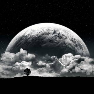 White and black moon wallpaper