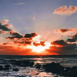 Summer iPhone XS wallpaper