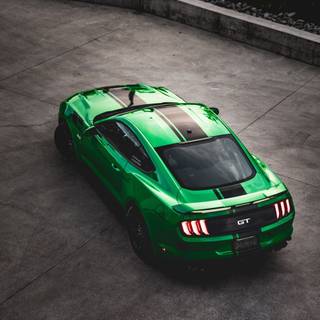 Green Mustang wallpaper