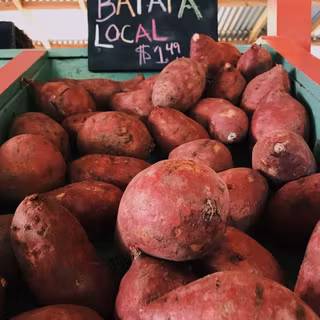 Sweet potato wallpaper