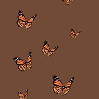 Brown aesthetic butterfly wallpaper
