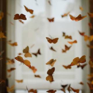 Brown aesthetic butterfly wallpaper