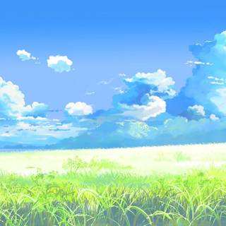 Anime grassland wallpaper
