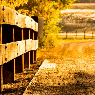 Autumn rustic wallpaper